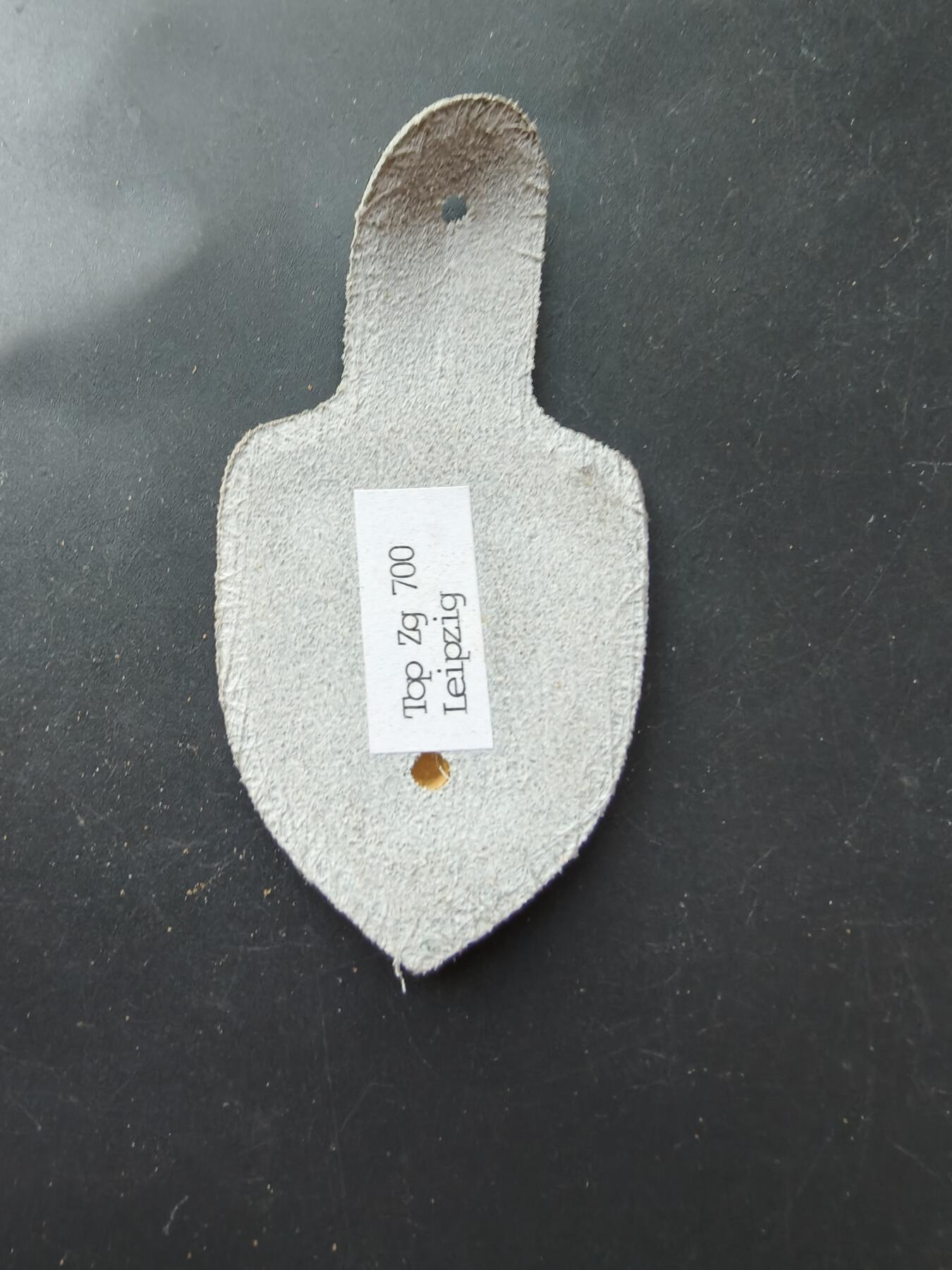 老王徽章第192期 德国联邦国防军第700地形测绘排证章