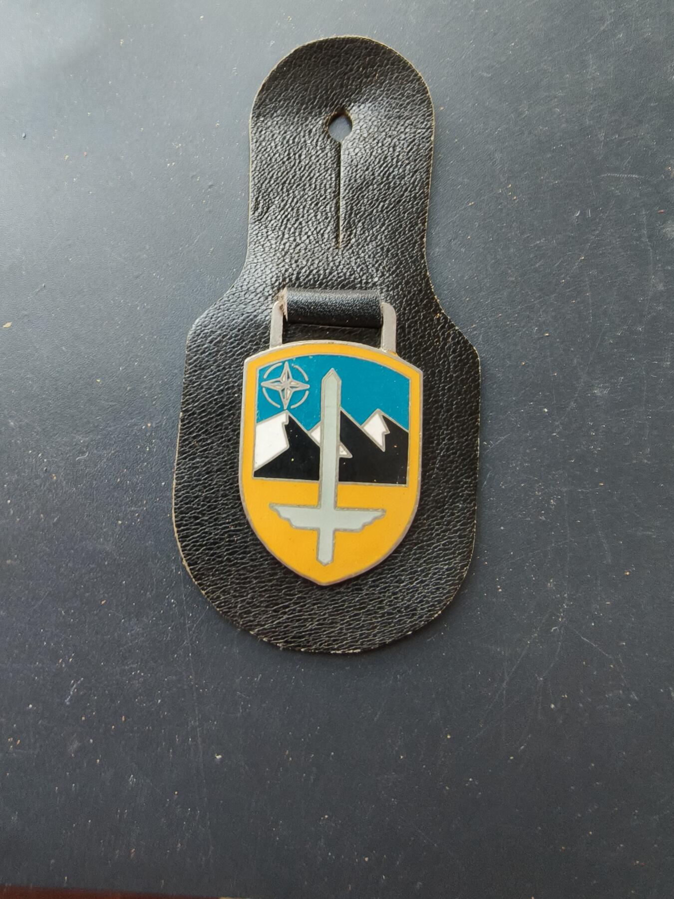 老王徽章第192期 德国联邦国防军第1空军师证章