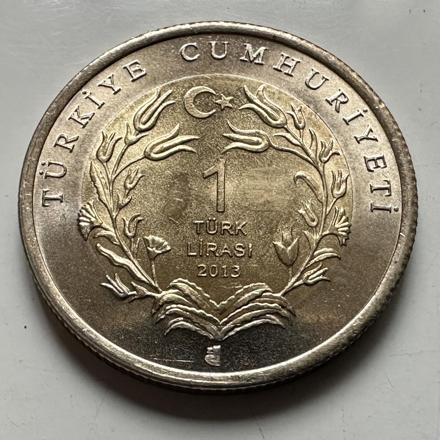 🌹外币初藏🌹🐯2026年第43场   每周二四六晚8️⃣点  世界硬币 土耳其 2013年 蓑羽鹤 1里拉双色纪念币