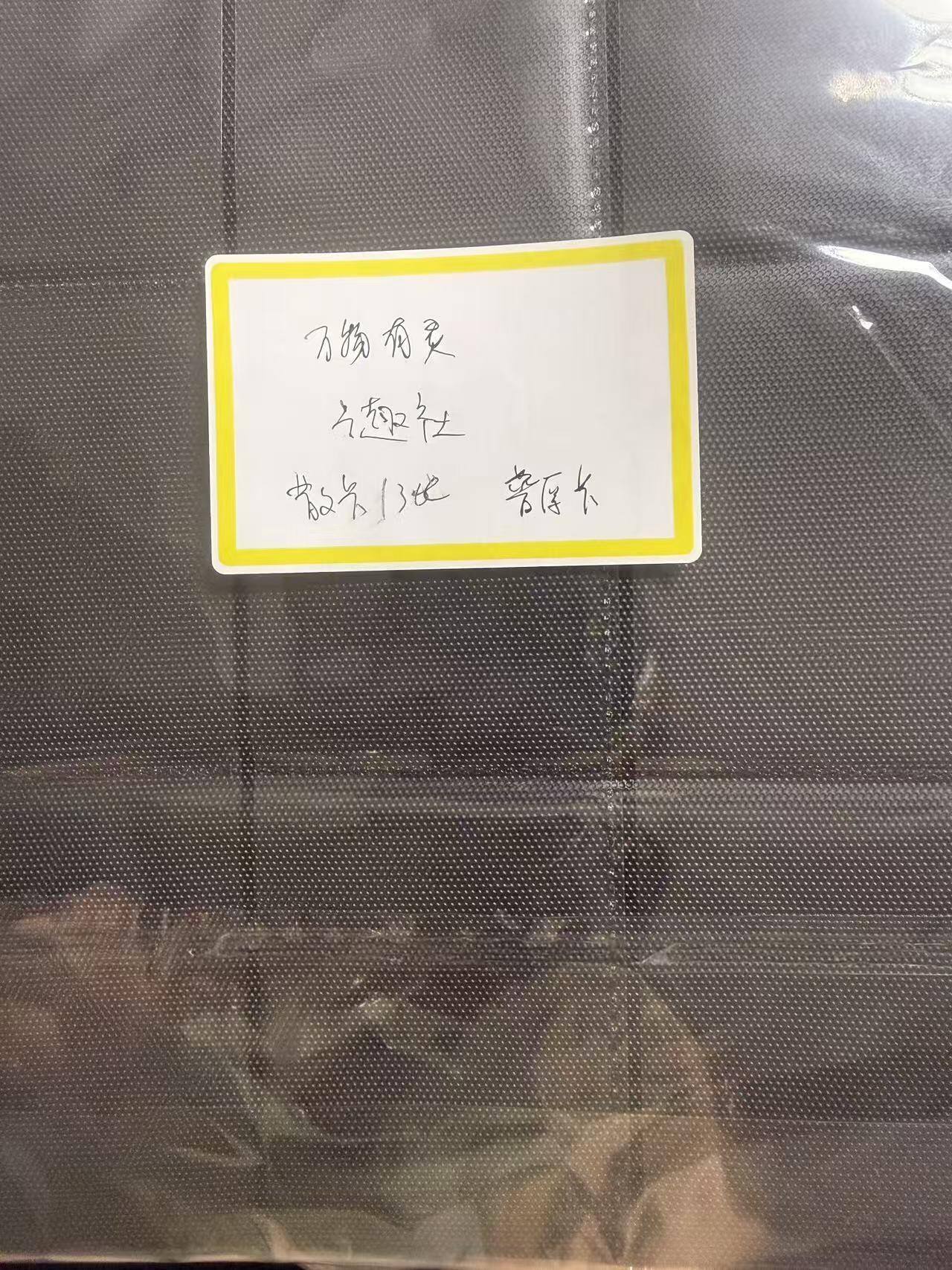 第111期阳大大卡牌拍卖第111期（持续收拍品，周五晚上九点截拍，进群福利早知道） 卡趣社 万物有灵 散卡13张 普厚卡 带卡页卡膜