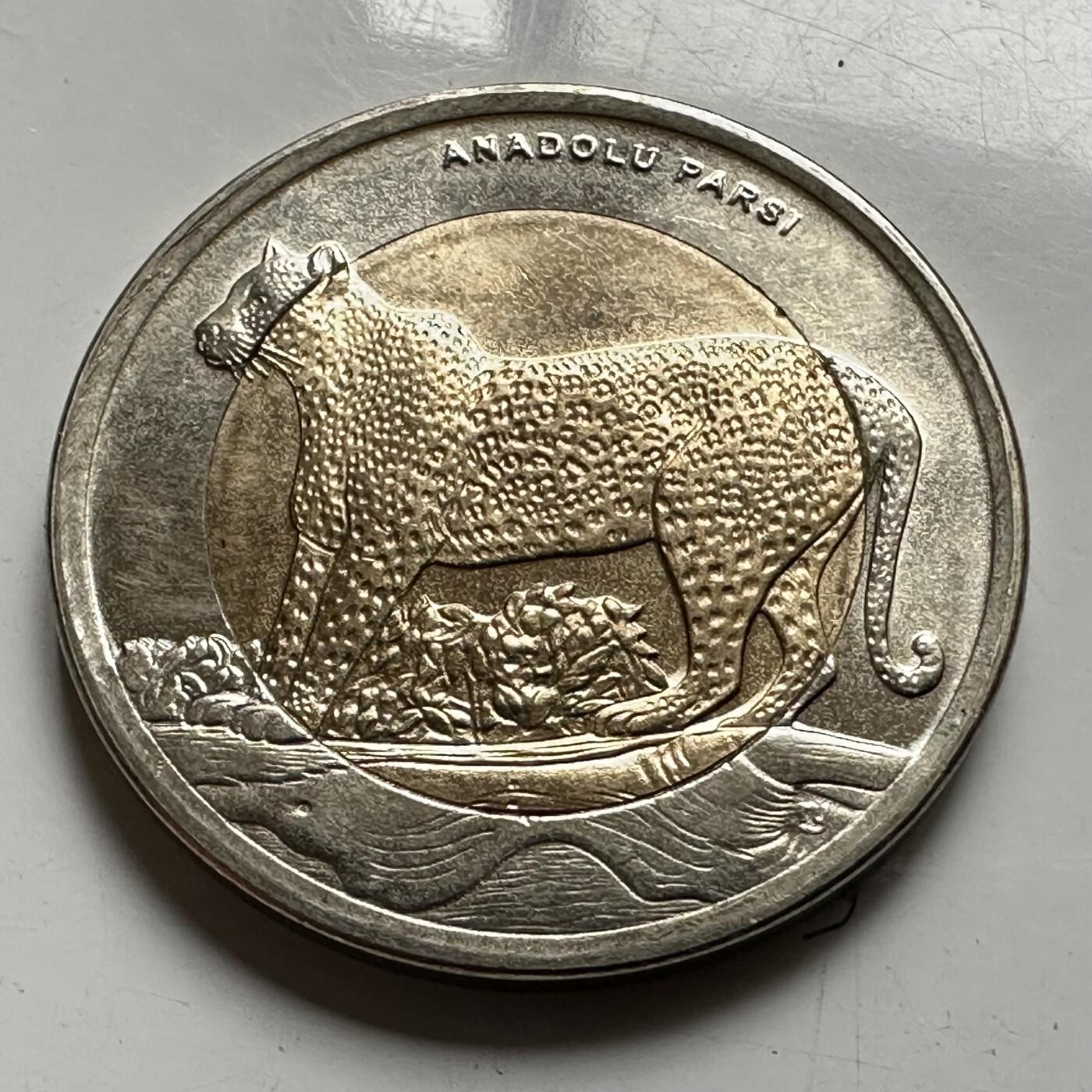 🌹外币初藏🌹🐯2026年第43场   每周二四六晚8️⃣点  世界硬币 土耳其 2012年 安纳托利亚豹 1里拉双色纪念币