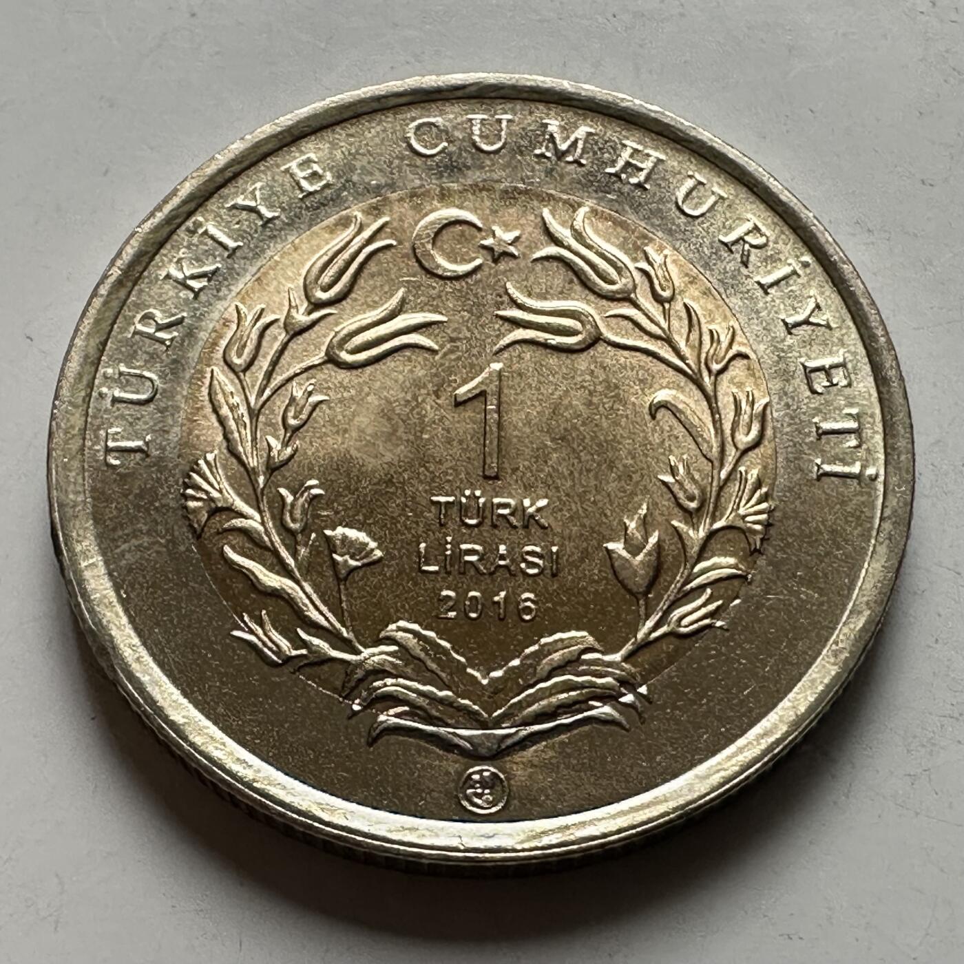 🌹外币初藏🌹🐯2026年第43场   每周二四六晚8️⃣点  世界硬币 土耳其 2016年 阿拉伯跳鼠 1里拉双色纪念币