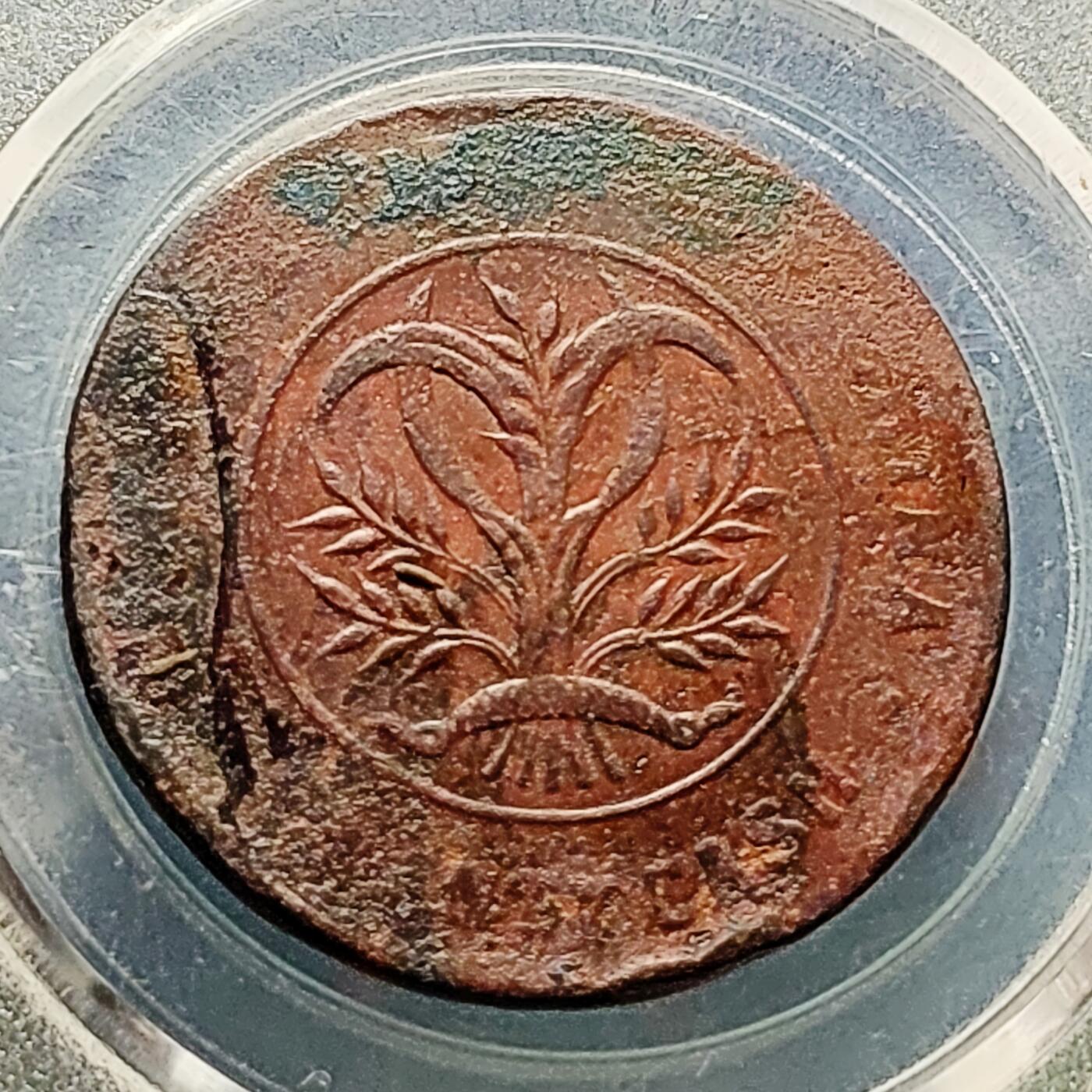 泉币菌-第227场-拍品多 请提前出价 湖南省造二十文铜元 嘉禾32×1.5mm