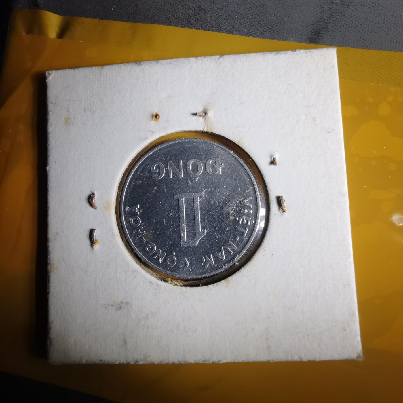 沼泽如烟--第1057场 越南1971年1盾