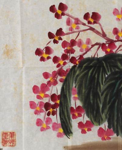 碧月说宝.近现代书画专场（九） 齐良末 秋海棠