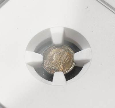 甄臻铺-世界币章拍卖（第60期），甄品场拍品征集中，送拍享返佣金等优惠多多 NGC-MS65-MS64 1896年维多利亚披纱洗脚币，宗教产物，天鹅绒布包浆，黑五彩，PL底板