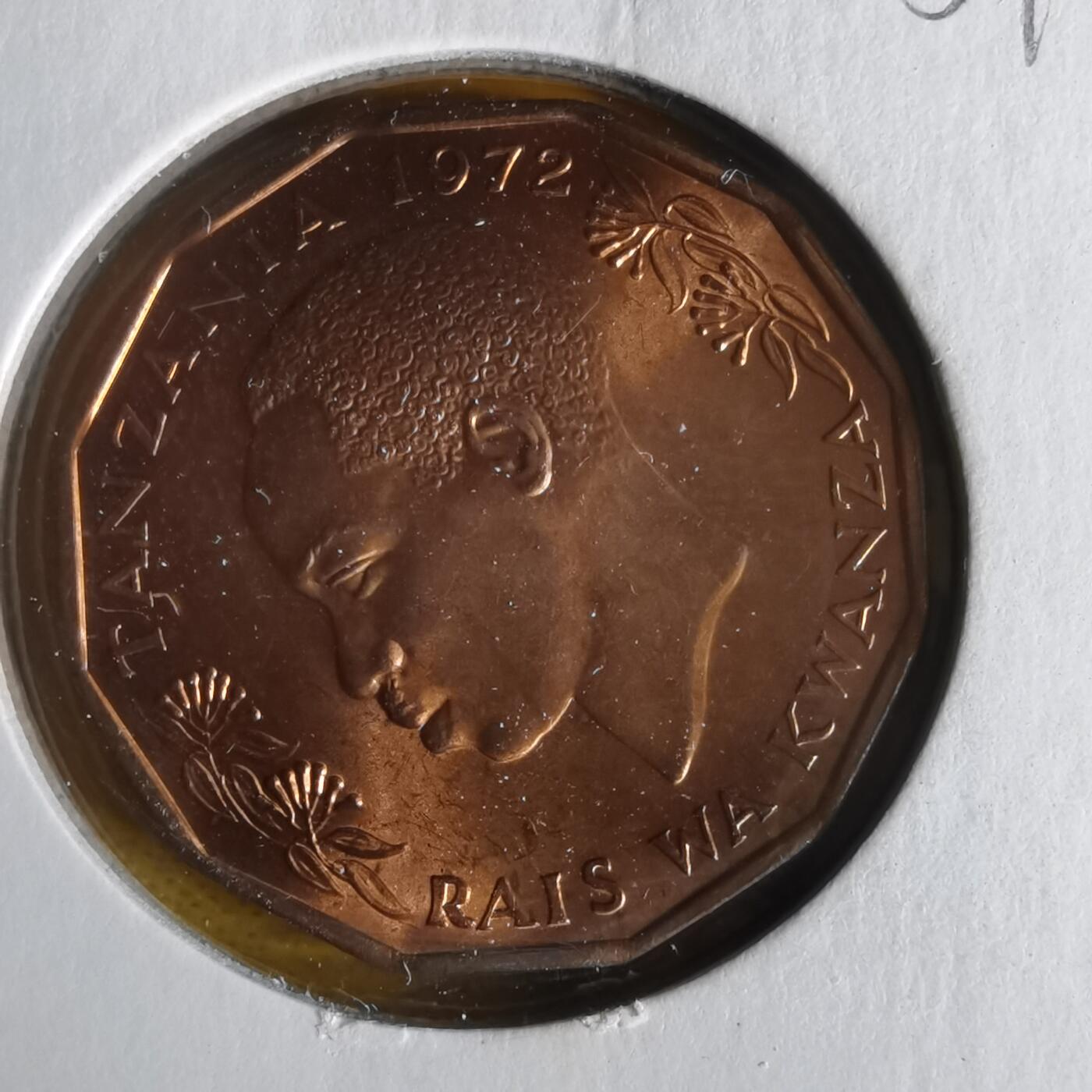 沼泽如烟--第1059场