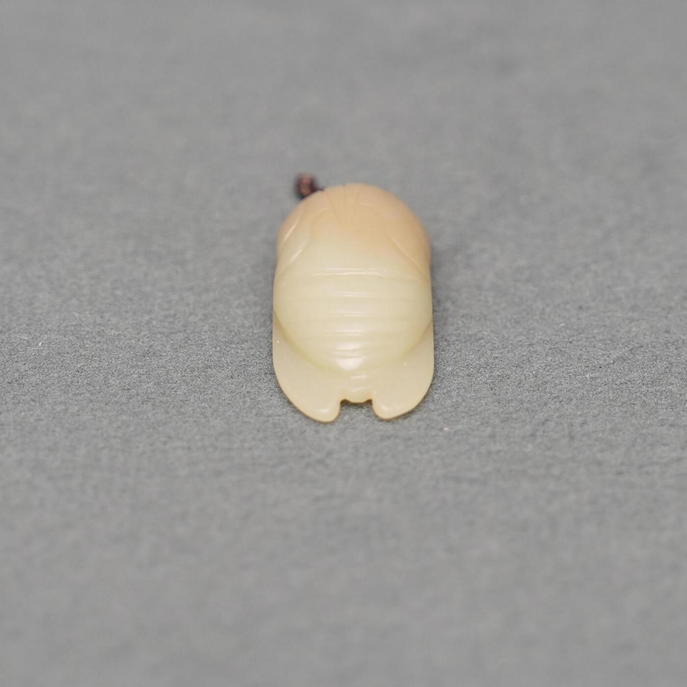  碧月说宝.韫玉流光-南京文物公司明清玉器专场（二） 小玉蝉