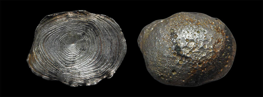 南京三省2026年春季拍卖会 机制币&金银锭&纸钞 明清一两盘丝锭