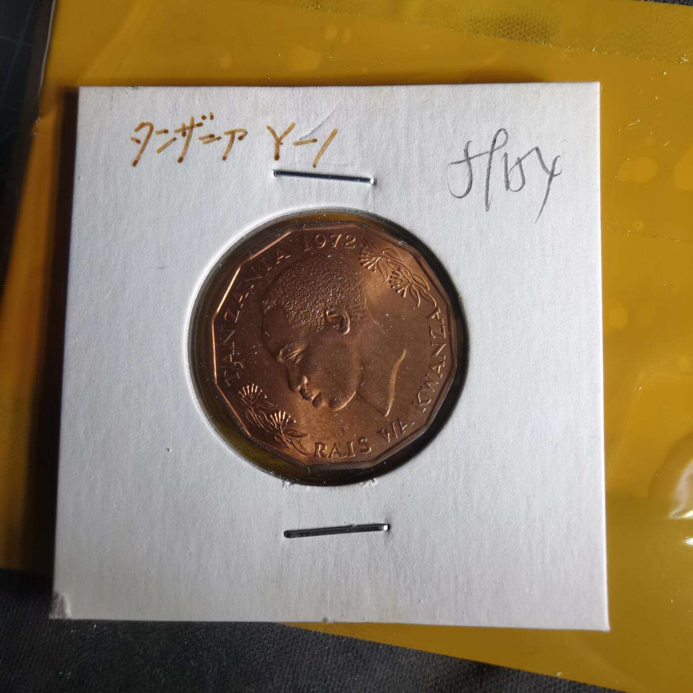 沼泽如烟--第1059场