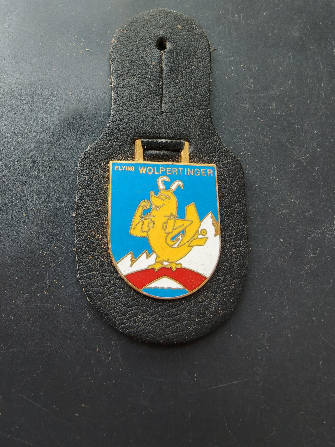 老王徽章第192期 德国联邦国防军空军第38战斗轰炸机联队第1中队证章
