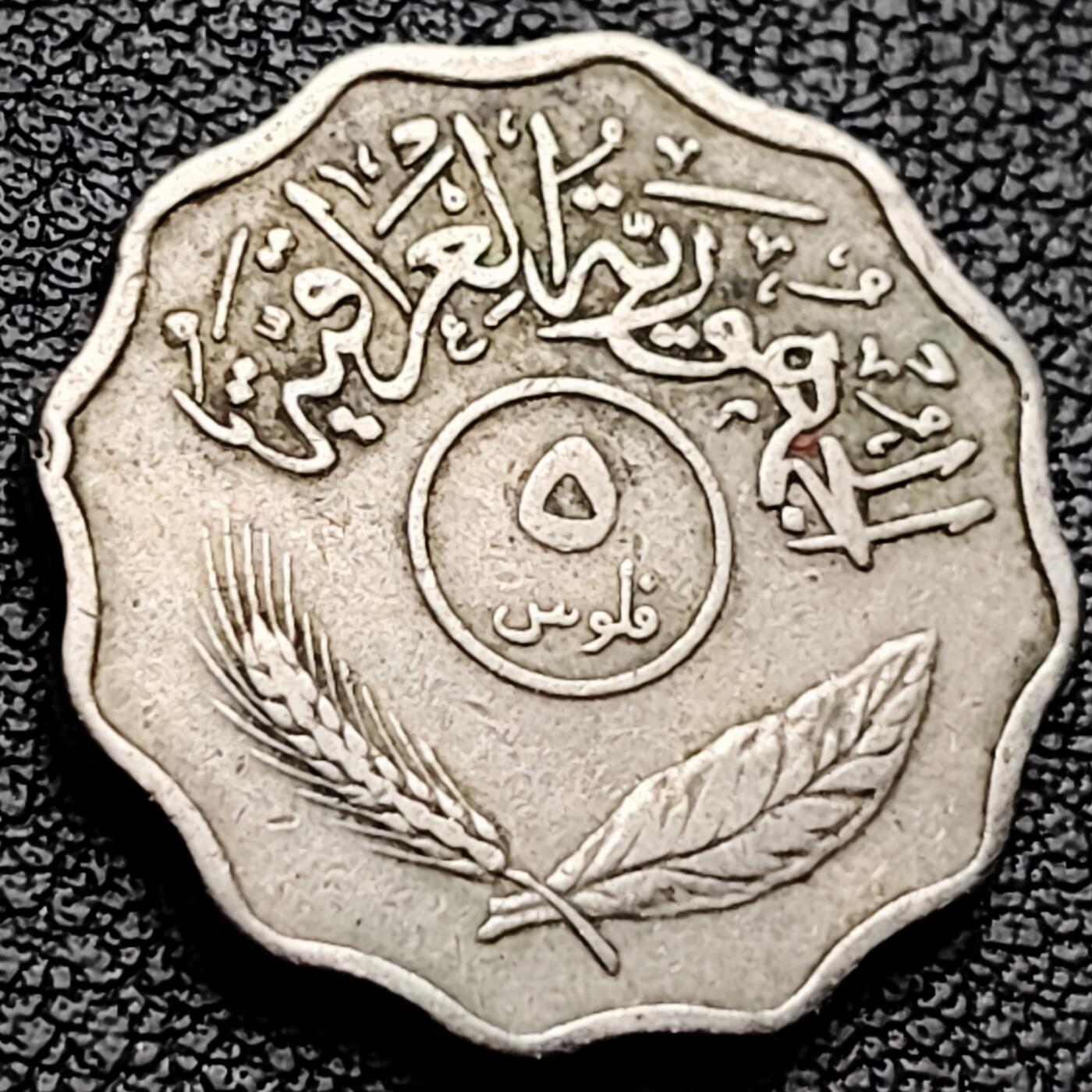 泉币菌-第227场-拍品多 请提前出价 早期 花边币 伊拉克10费尔銅镍硬币 22毫米 铜钱纪念币