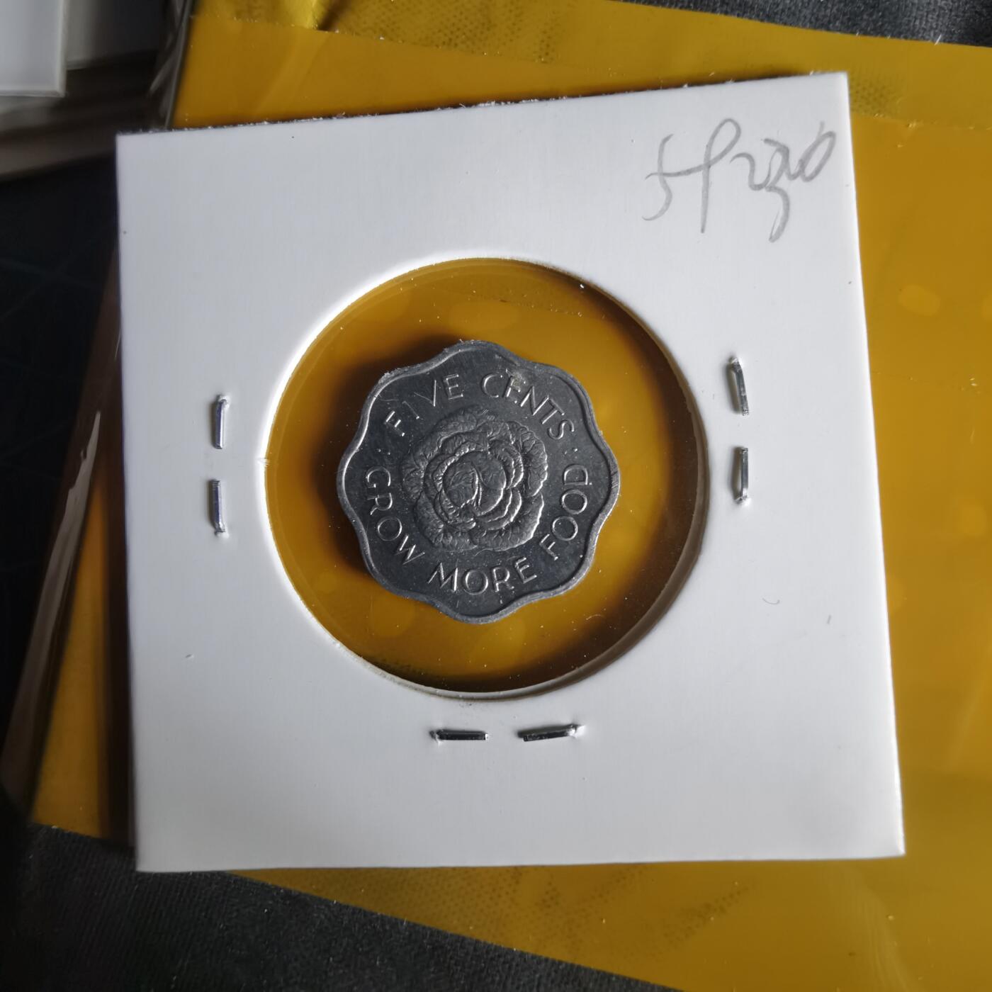 沼泽如烟--第1059场