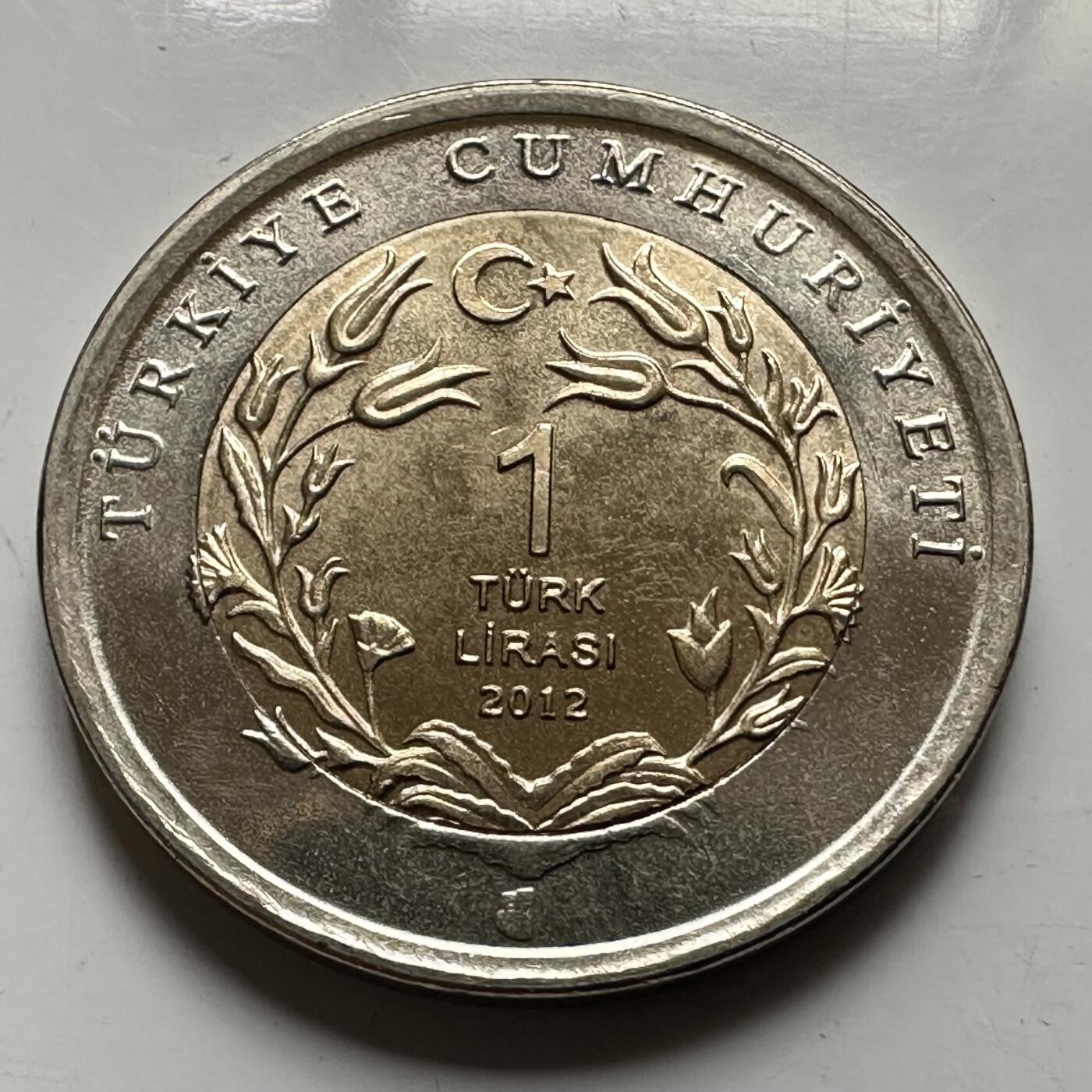 🌹外币初藏🌹🐯2026年第43场   每周二四六晚8️⃣点  世界硬币 土耳其 2012年 安纳托利亚豹 1里拉双色纪念币