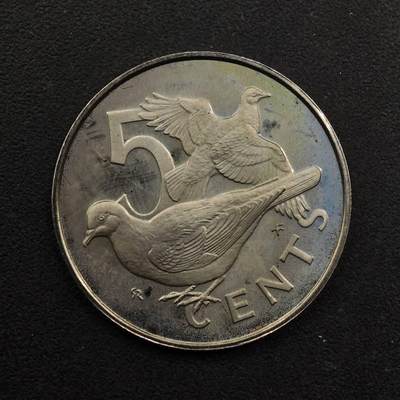 【淘币小摊】实时拍第八百九十二拍   散币场    每周一统一发货 - 英属维尔京1973年5分精制镍币