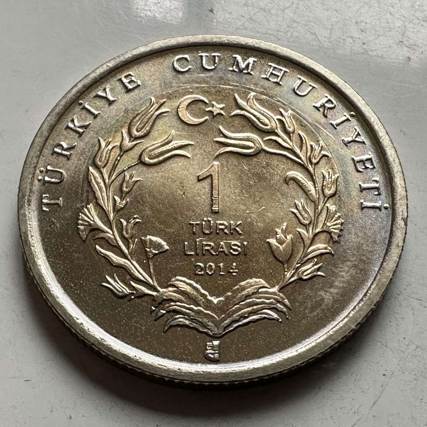 🌹外币初藏🌹🐯2026年第43场   每周二四六晚8️⃣点  世界硬币 土耳其 2014年 安纳托利亚鹰 1里拉双色纪念币