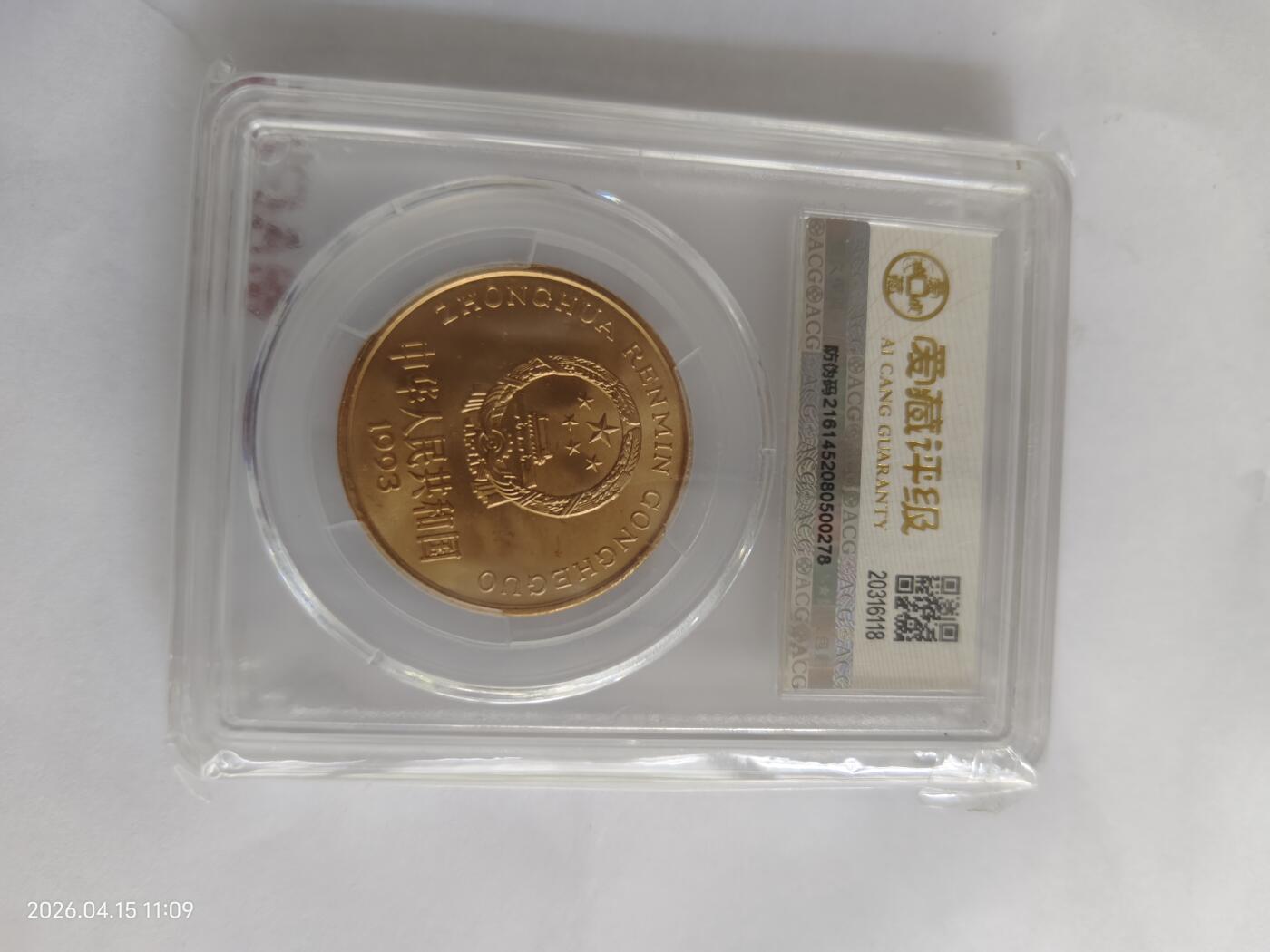 珍稀动物大熊猫