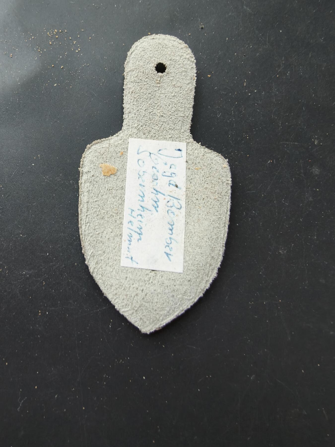 老王徽章第192期 德国联邦国防军空军第73战斗机“斯坦霍夫”战术联队证章       该联队主要装备台风战斗机