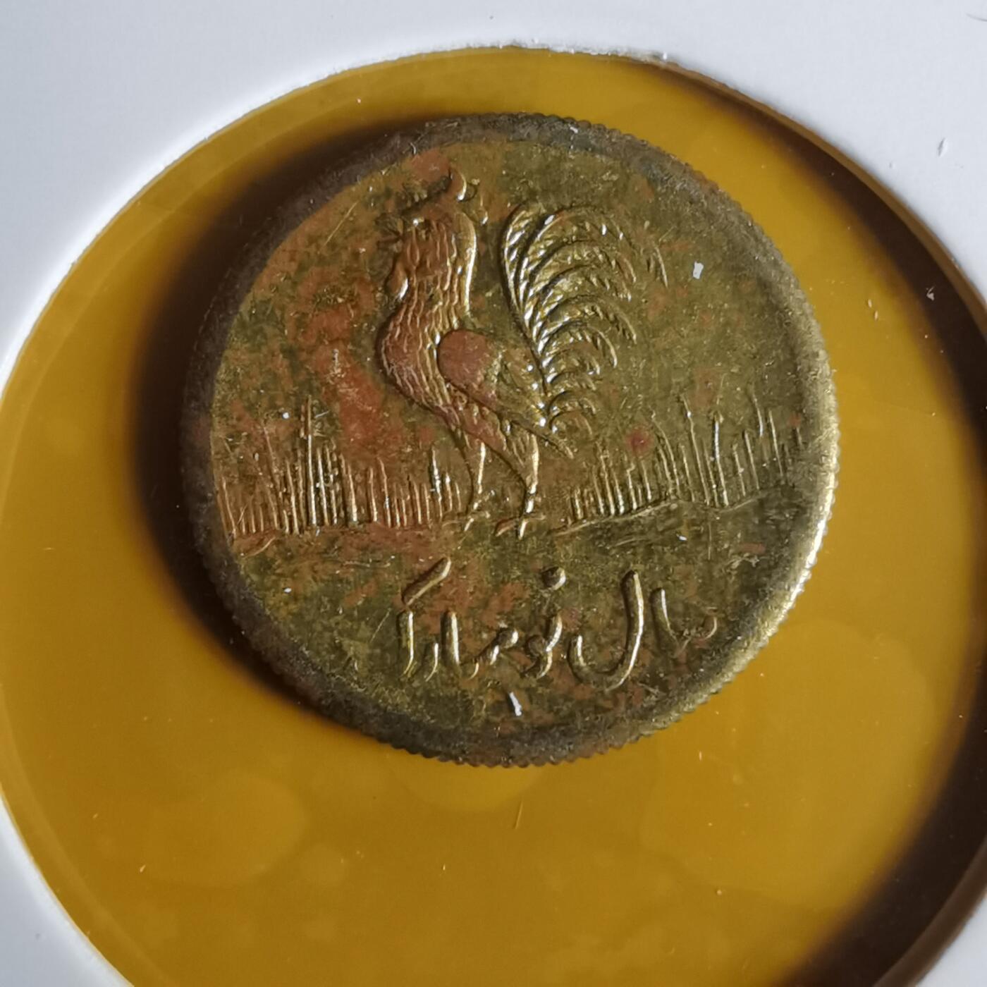 沼泽如烟--第1057场