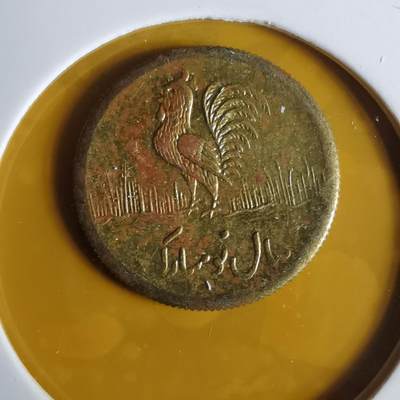 沼泽如烟--第1057场 - 伊朗