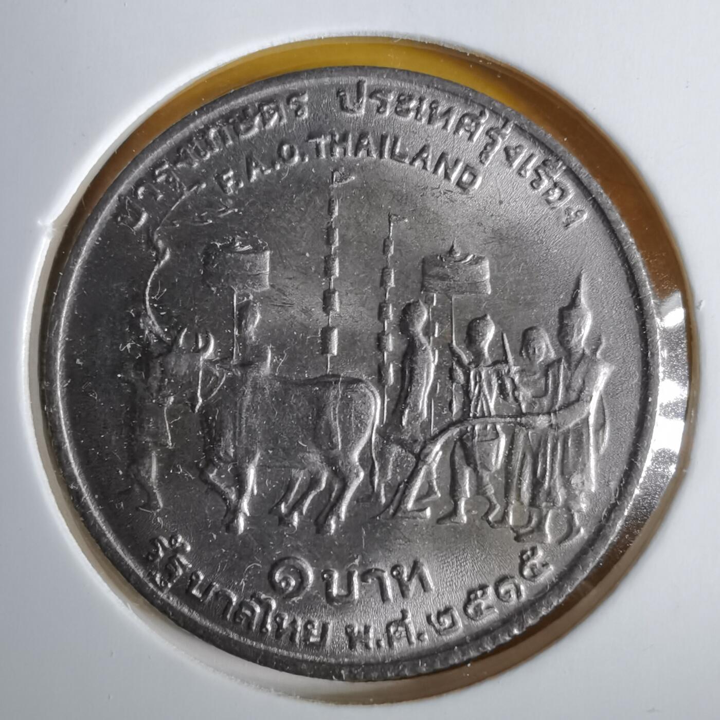 沼泽如烟--第1057场 泰国