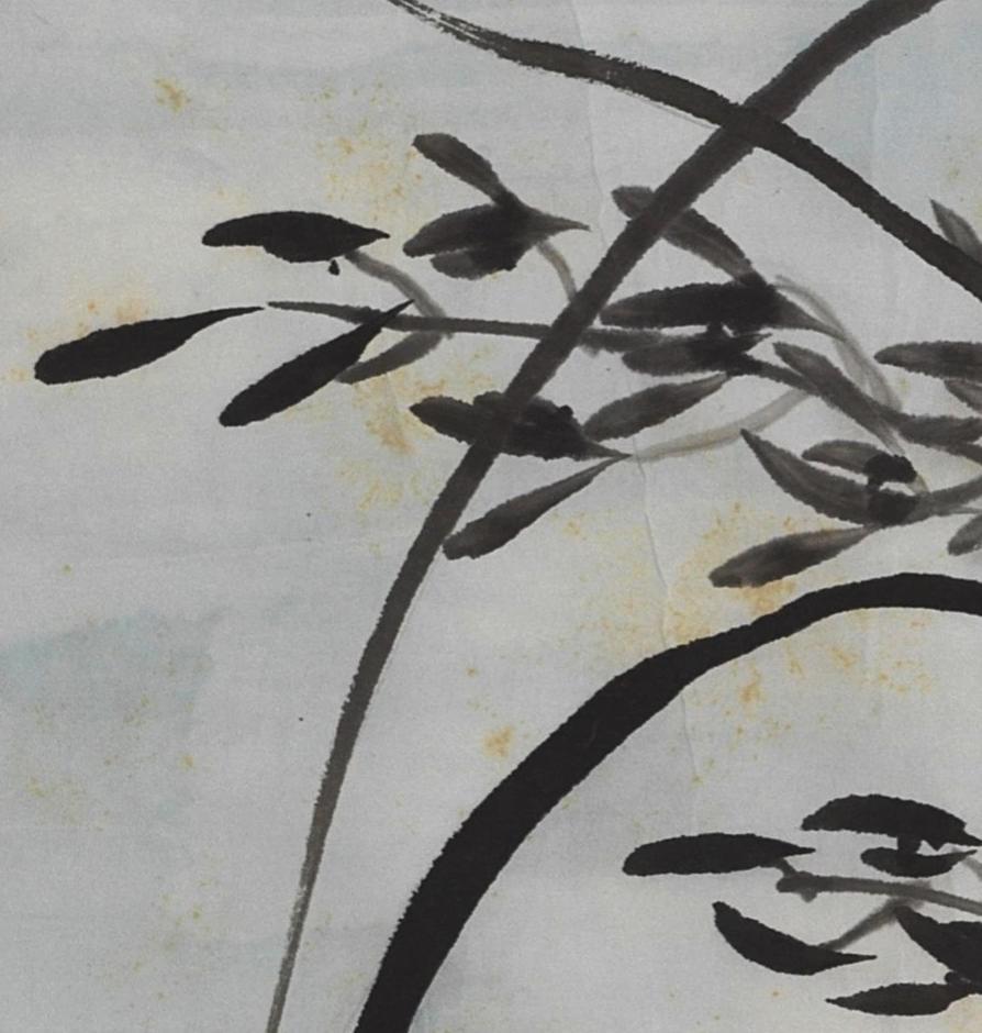 碧月说宝.近现代书画专场（九）