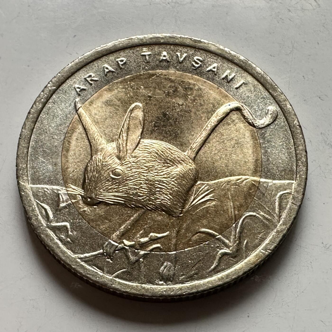 🌹外币初藏🌹🐯2026年第43场   每周二四六晚8️⃣点  世界硬币 土耳其 2016年 阿拉伯跳鼠 1里拉双色纪念币