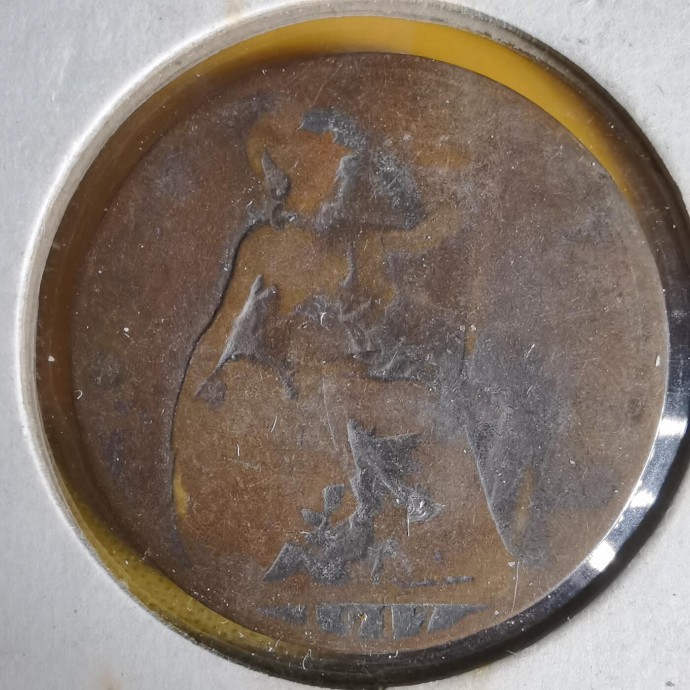 沼泽如烟--第1059场