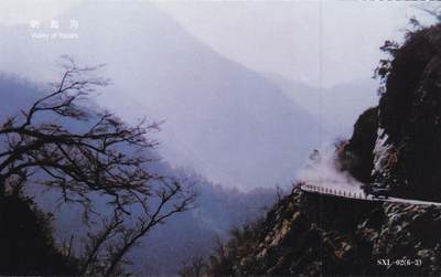 04月23日（周四）20:00 中国大陆机戳封片专场 2017中国大陆《七夕情人节》邮资机宣传机戳片 一套一枚