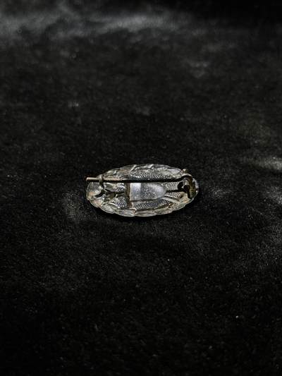 戎马世界章牌大赏第115期 德国一战黑色战伤