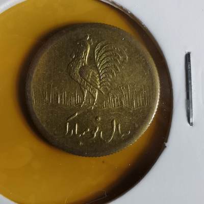 沼泽如烟--第1057场 - 伊朗代币