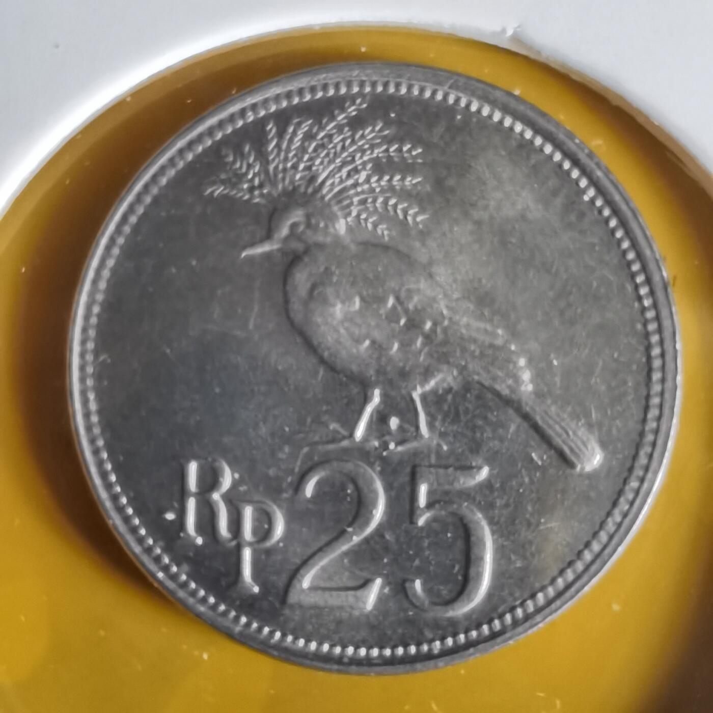 沼泽如烟--第1059场