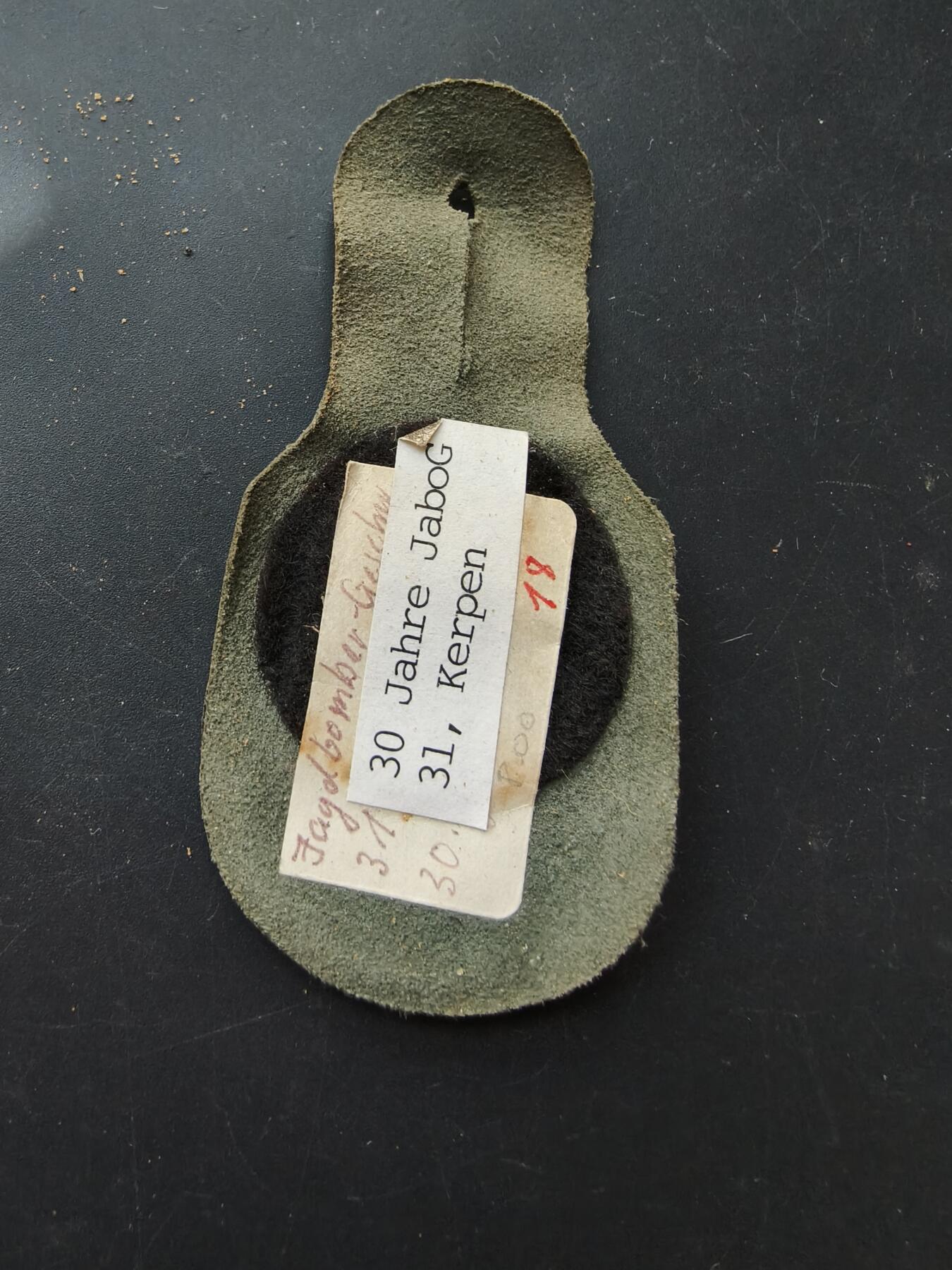 老王徽章第192期 德国联邦国防军空军第31”波尔克”战斗轰炸机联队成立30周年证章