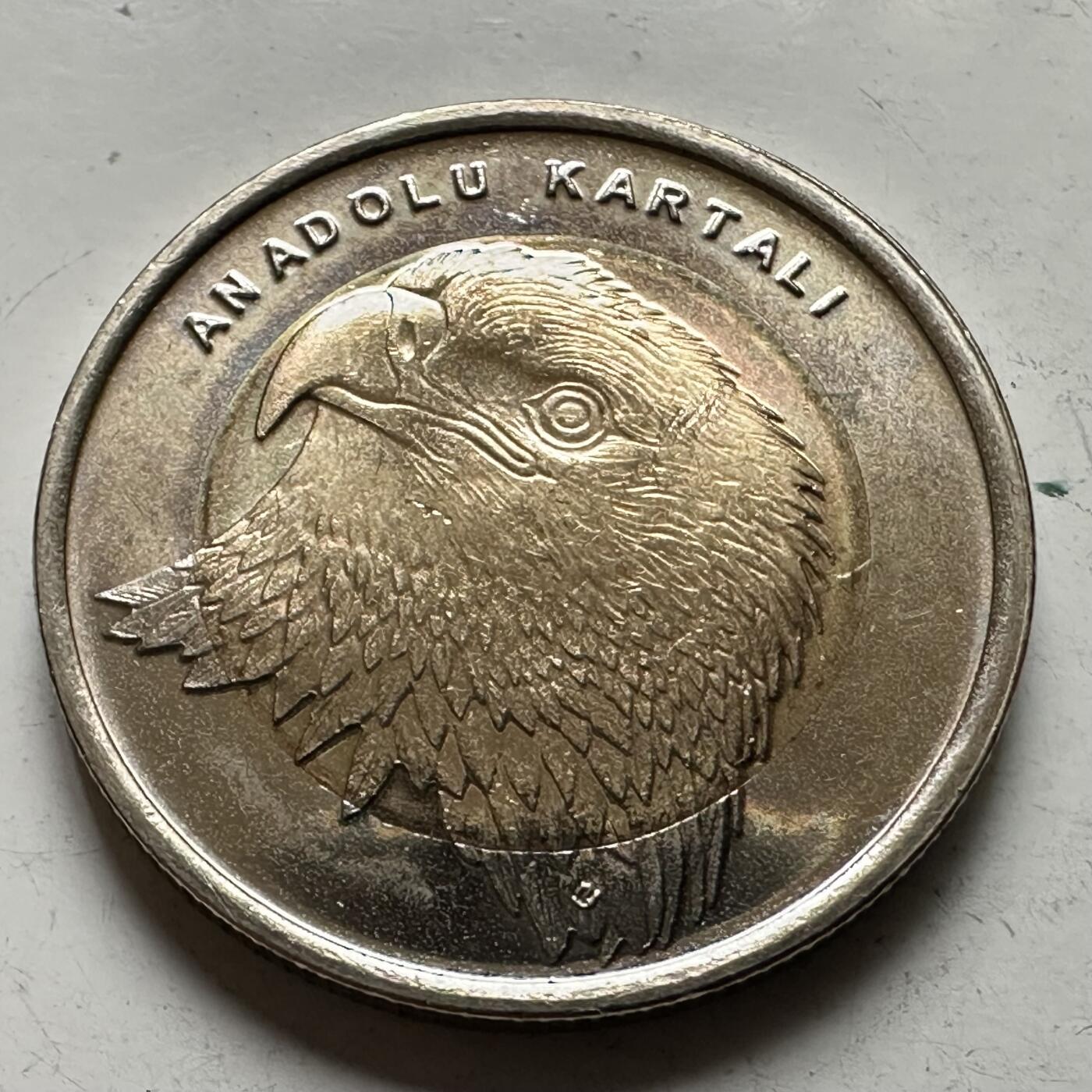 🌹外币初藏🌹🐯2026年第43场   每周二四六晚8️⃣点  世界硬币 土耳其 2014年 安纳托利亚鹰 1里拉双色纪念币