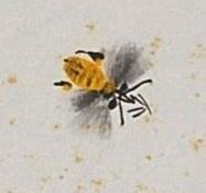 碧月说宝.近现代书画专场（九）