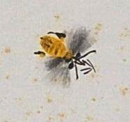 碧月说宝.近现代书画专场（九） 齐良已 春风吹动舞衣裳