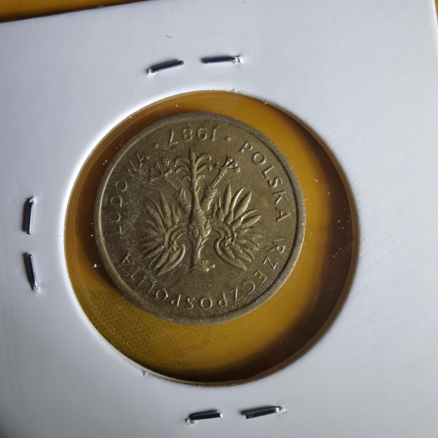 沼泽如烟--第1059场 波兰1987年2兹罗提