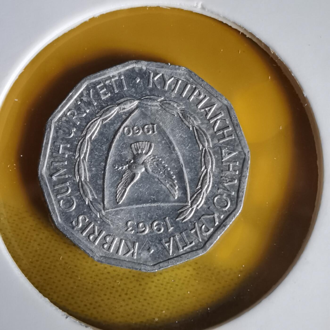 沼泽如烟--第1059场 塞浦路斯1963年1米尔