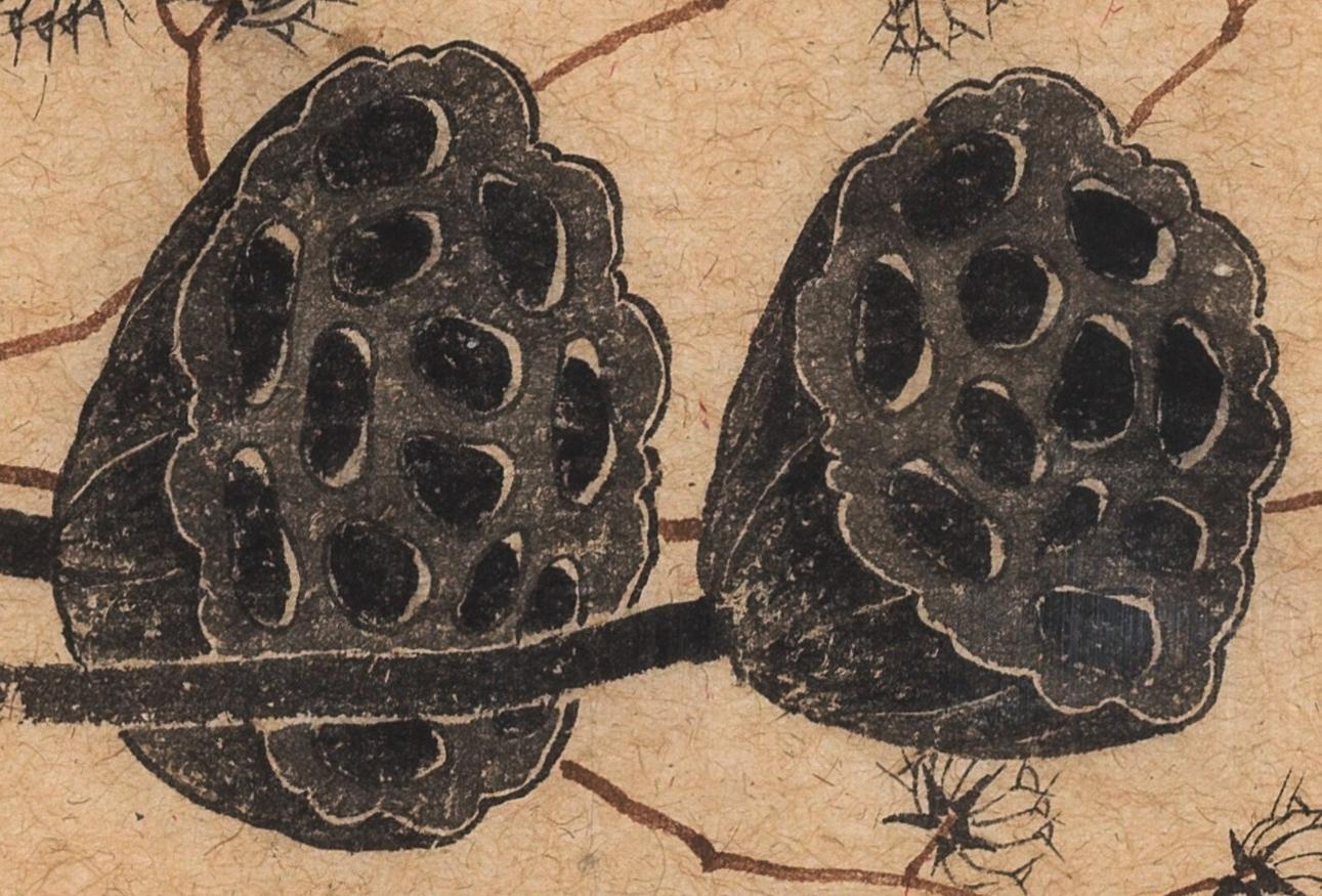 碧月说宝.当代书画专场一 老圃 听雨