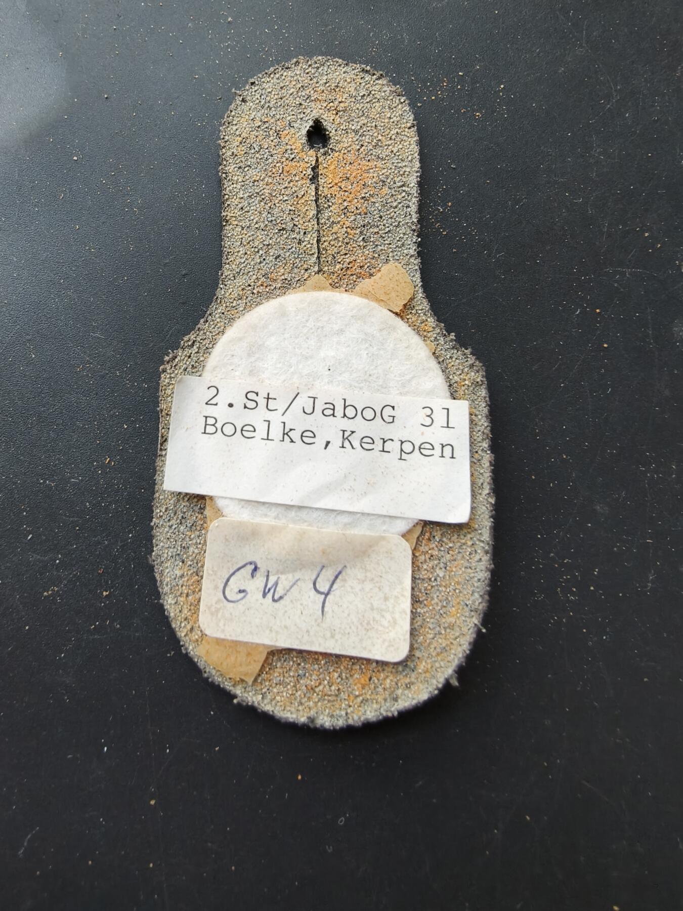 老王徽章第192期 联邦德国国防军空军第31战斗轰炸机联队第2中队证章