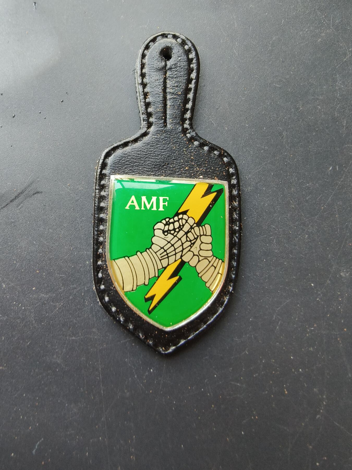 老王徽章第192期 德国北约盟军欧洲司令部机动部队证章        AMF 全称为 Allied Command Europe Mobile Force（盟军欧洲司令部机动部队），AMF 是一支由多国组成的北约反应部队，成立于1960年，旨在应对对北约成员国的潜在威胁。它由陆军 (AMF-L) 和空军 (AMF-A) 组成，体现了北约内部的防御协作