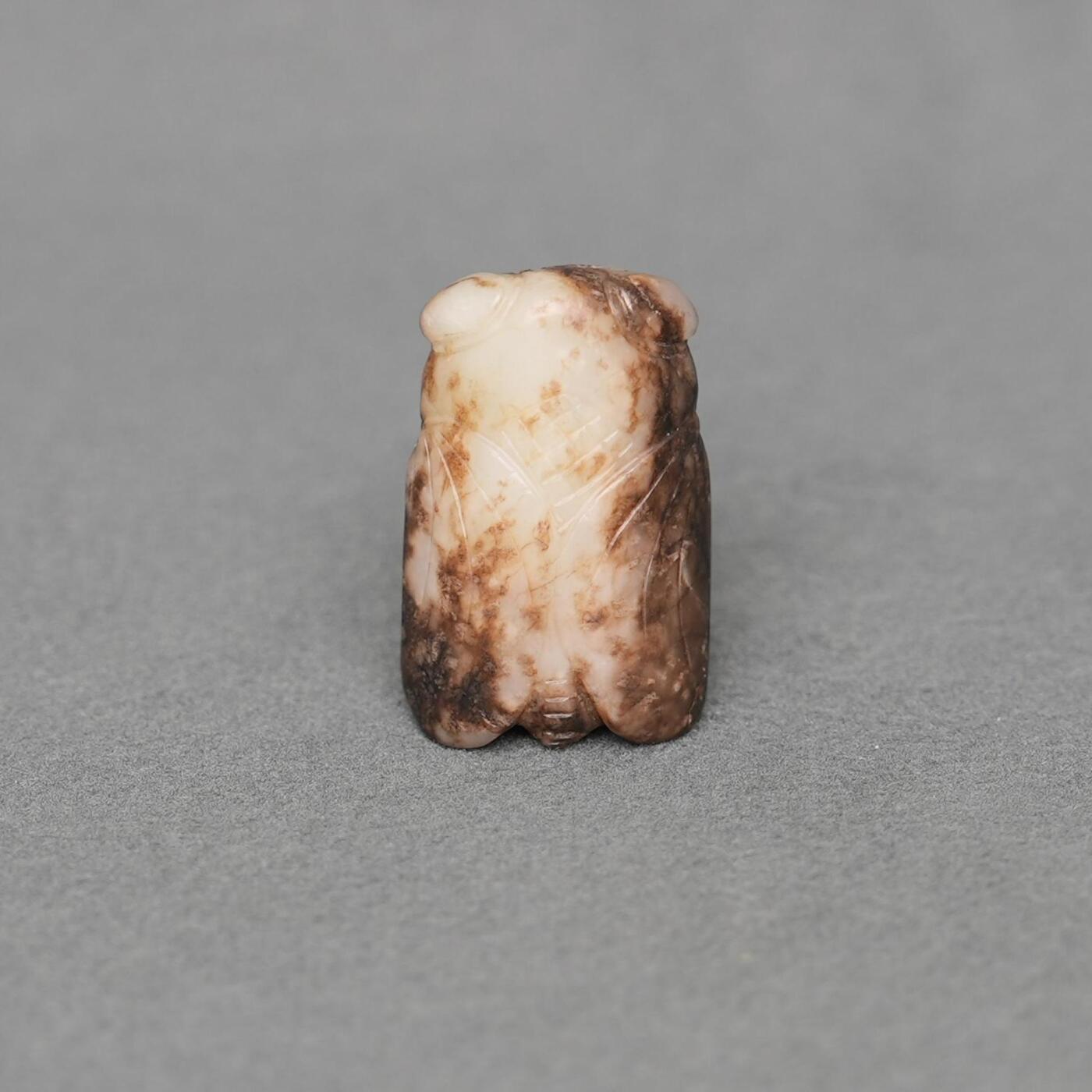  碧月说宝.韫玉流光-南京文物公司明清玉器专场（二） 玉蝉