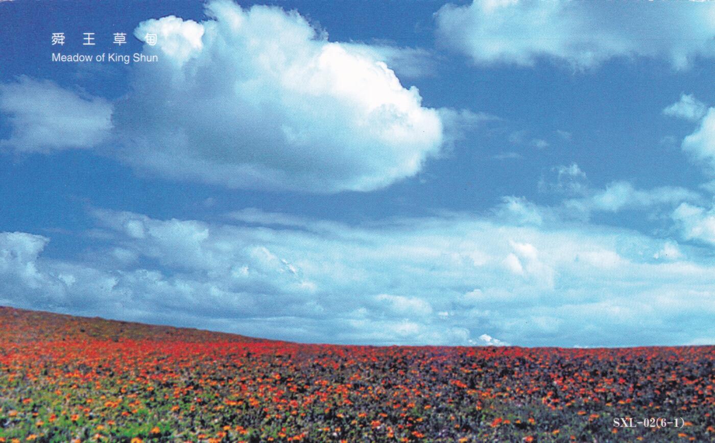 04月23日（周四）20:00 中国大陆机戳封片专场