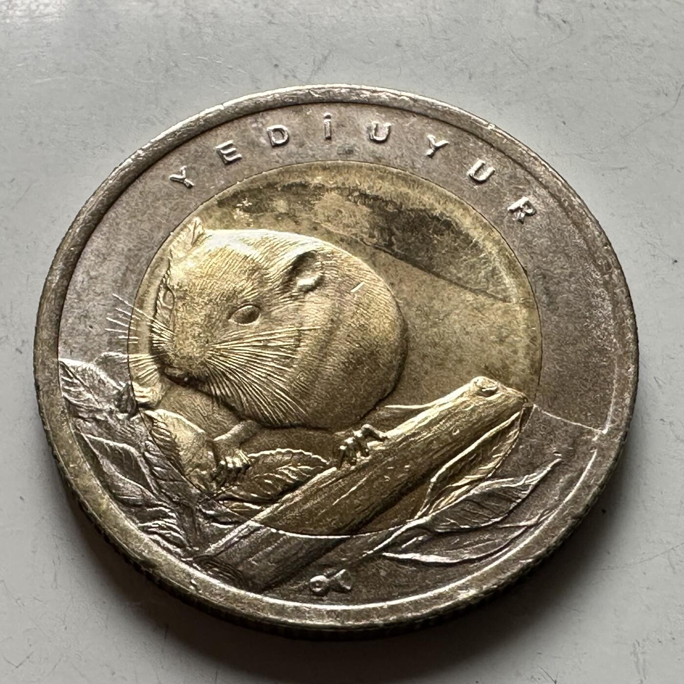 🌹外币初藏🌹🐯2026年第43场   每周二四六晚8️⃣点  世界硬币 土耳其 2016年 欧洲睡鼠 1里拉双色纪念币