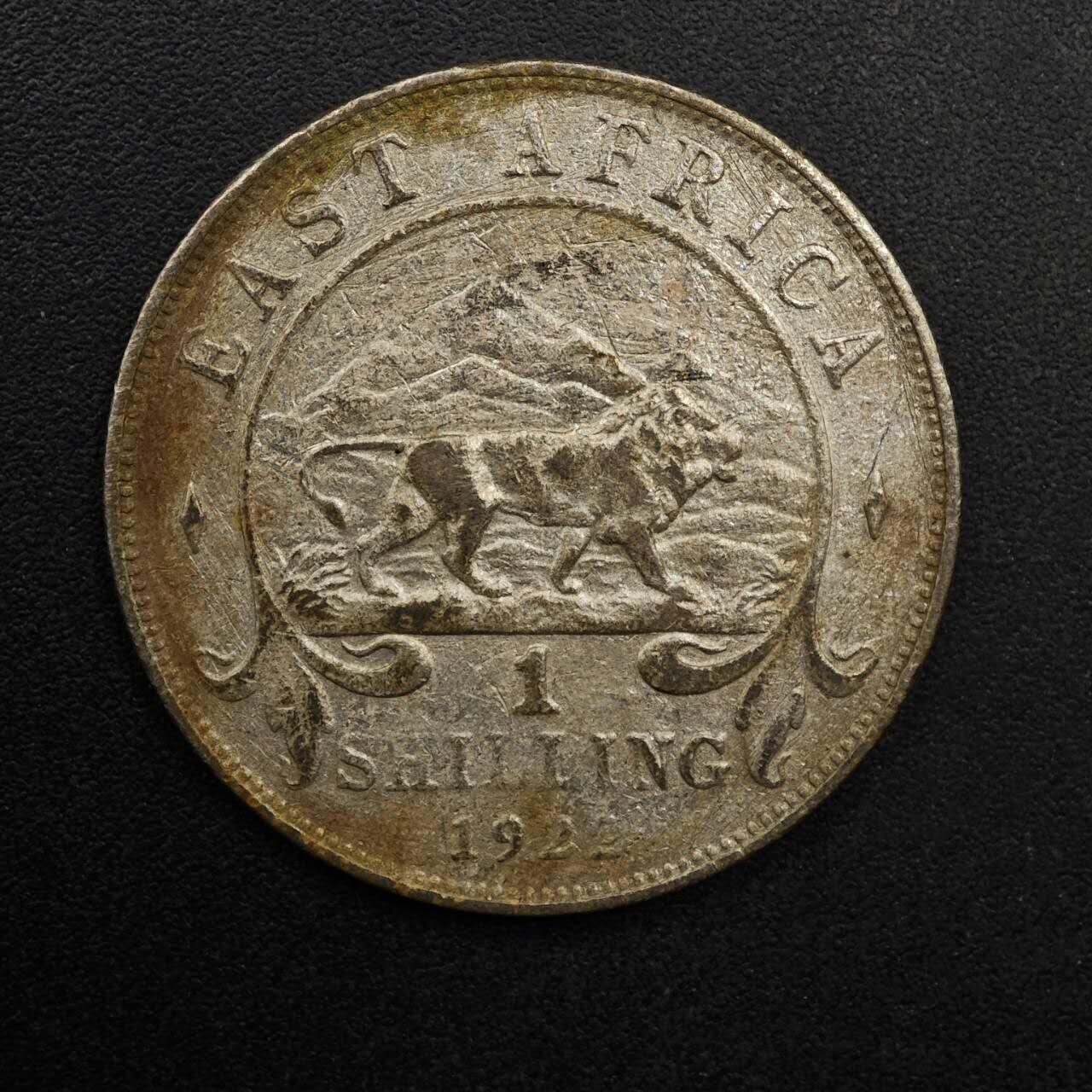 【淘币小摊】实时拍第八百九十二拍   散币场    每周一统一发货 英属东非1922年乔治五世1先令银币