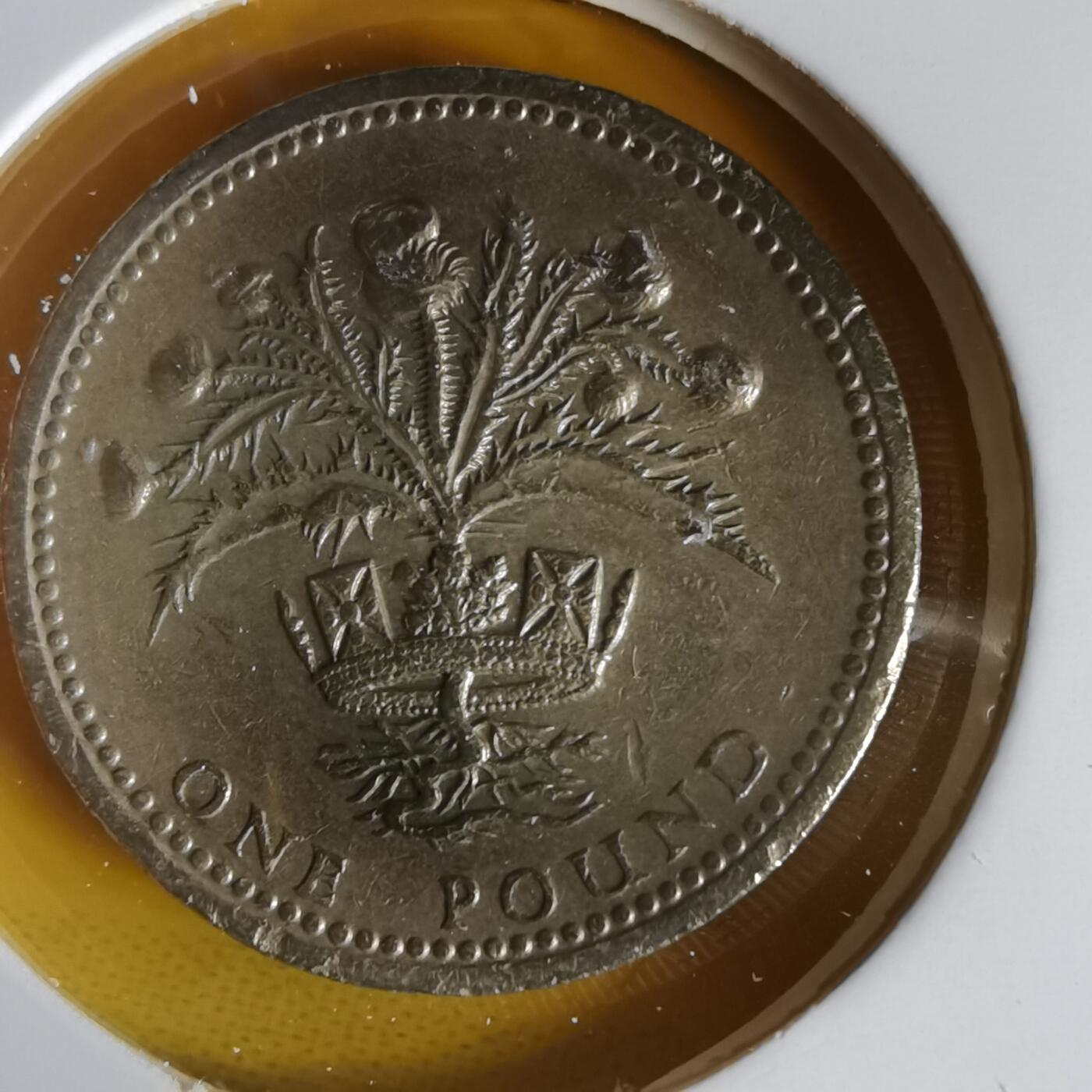 沼泽如烟--第1059场 英国1984年一磅