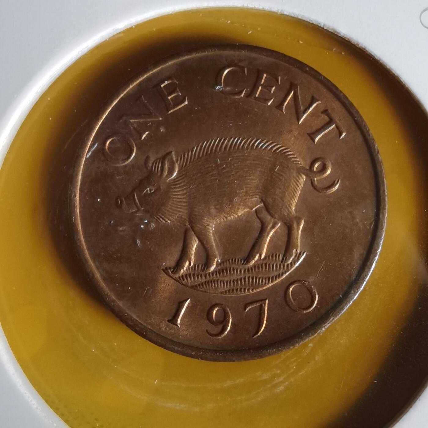 沼泽如烟--第1059场 百慕大1970年一分