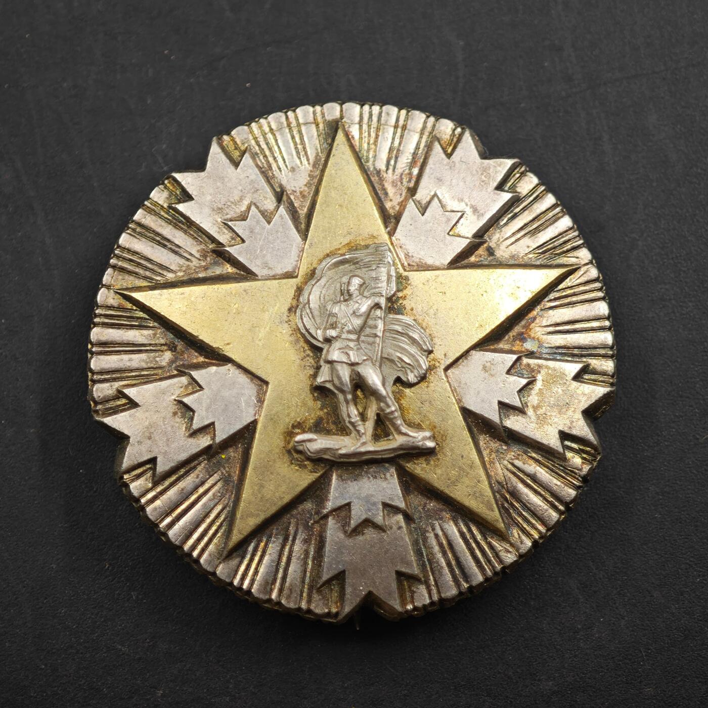 4月17日结束，成斌徽章钱币专场