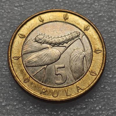  【淘币小摊】限时拍第八百九十五拍  埃塞俄比亚留尼旺比利时意大利场    每周一统一发货 博茨瓦纳2000年毛毛虫5普拉双色币 km30