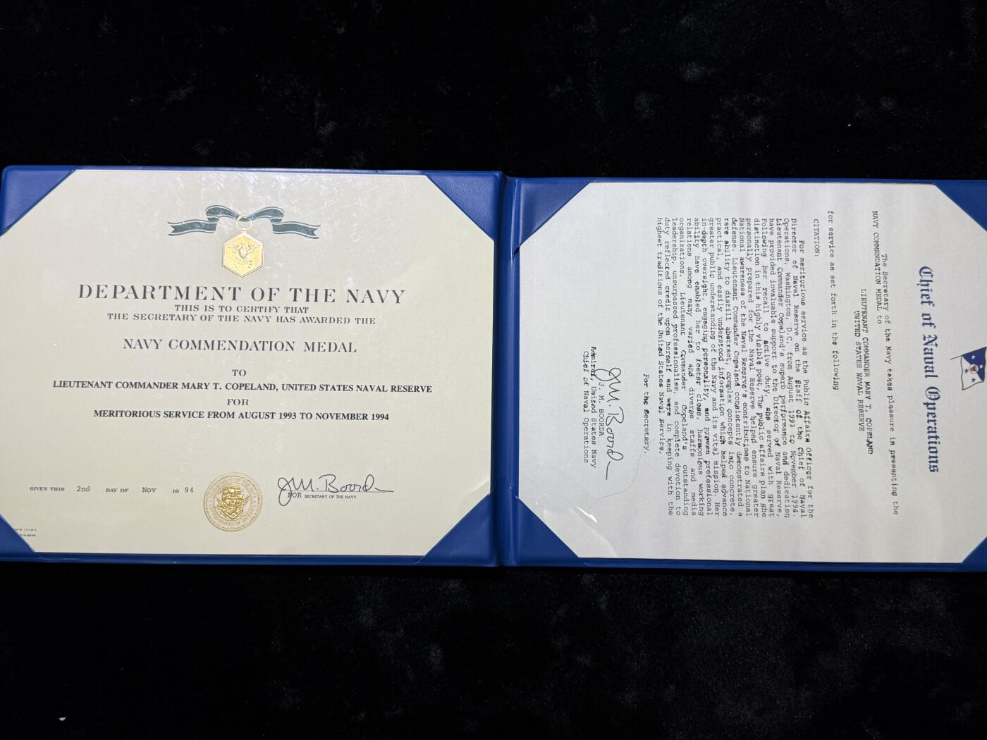 戎马世界章牌大赏第115期